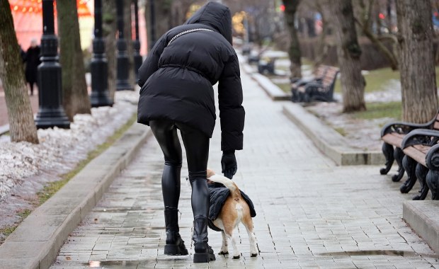 Trutka wymieszana z ziarnem? Nowe informacje ws. prób otrucia psów w Krakowie