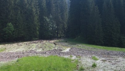 Trwa przeszukanie Doliny Roztoki, gdzie odnaleziono szczątki ludzkie