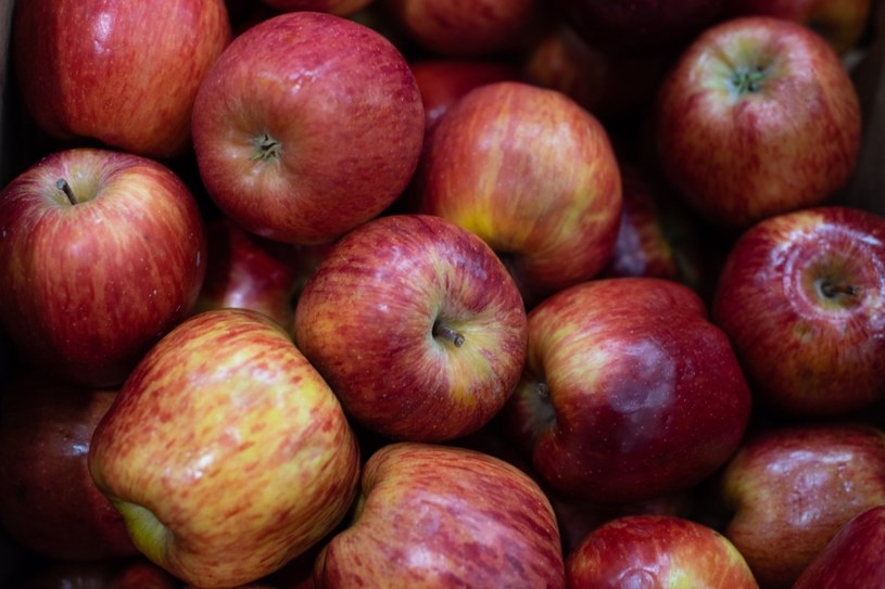 Trwa skup polskich jabłek. To wsparcie dla sadowników, którzy mają problemy ze sprzedażą. Zdj. ilustracyjne /123RF/PICSEL