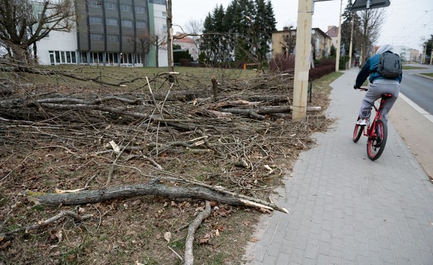 Trwa usuwanie skutków silnego wiatru. Prawie 160 interwencji strażaków