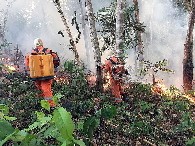 Trwa walka z pożarami lasów Amazonii /Porto Velho Firefighters HANDOUT  /PAP/EPA