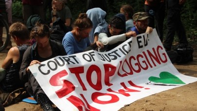 Trybunał Sprawiedliwości poprosił KE o dowody ws. złamania zakazu wycinki przez Polskę 