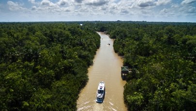 Trząsł Amazonią przez 300 milionów lat. Jest uznawany za najstarszy na świecie