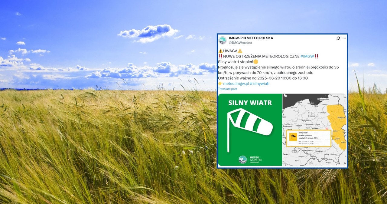 Trzeba uważać na silniejszy wiatr na wschodzie. Alert IMGW pierwszego stopnia wydano z tego powodu w czterech województwach /konstik/123rf/IMGW /