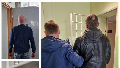 ​Trzech fałszywych wnuczków z zarzutami