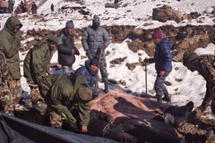 Trzeci Polak wśród ofiar lawiny w Nepalu
