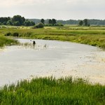 Trzeci pożar parku narodowego w tym roku. Zajął torfowiska?