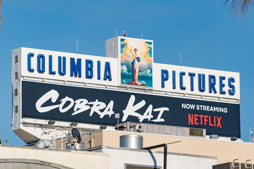 Trzeci sezon serialu "Cobra Kai" trafi na platformę streamingową Netflix już 1 stycznia 2021 roku /AaronP/Bauer Griffin /Getty Images