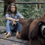 Trzecia z Trimates nie żyje. Była legendą ochrony orangutanów
