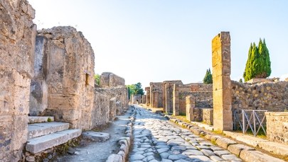 Trzęsienie ziemi na południu Włoch. Zniszczenia w Pompejach