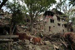 Trzęsienie ziemi w Afganistanie. Galeria