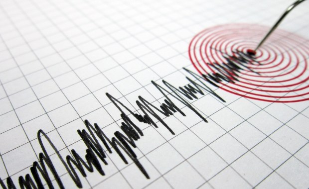 Trzęsienie ziemi w Japonii