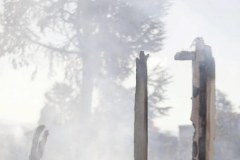 Trzęsienie ziemi w Kalifornii