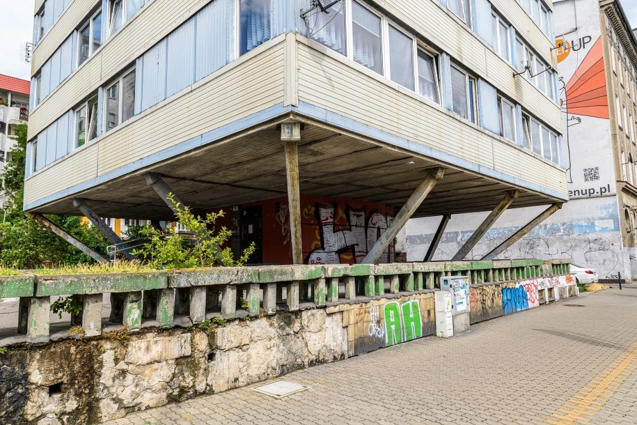 Trzonolinowiec /Maciej Kulczyński /PAP