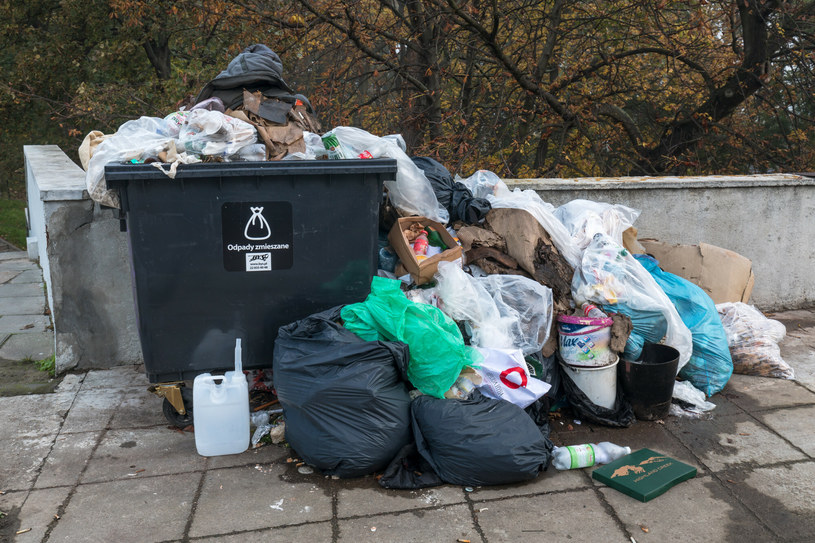 Trzy czwarte odpadów wytwarzanych w stolicy, nie jest segregowanych. / Arkadiusz Ziolek /East News