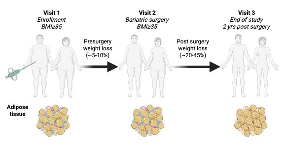 Trzy etapy badania ATLAS /Rys. Anne Loft/SDU /Materiały prasowe