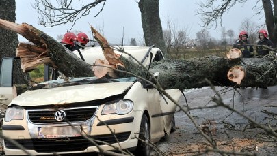 Trzy ofiary wichury. Na auto spadło drzewo 