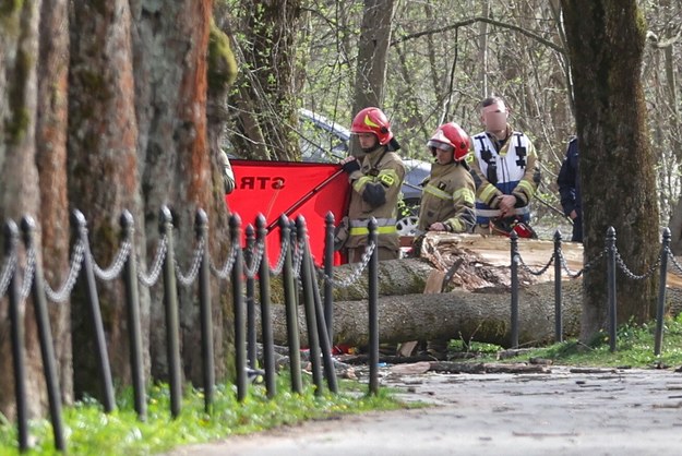 Trzy osoby, w tym sześcioletnie dziecko, zginęły,  przygniecione przez powalone pod naporem wiatru drzewo przy ul. Parkowej w Rabce-Zdroju /Grzegorz Momot /PAP