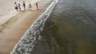 Trzy pomorskie kąpieliska zamknięte. Zakwitły sinice