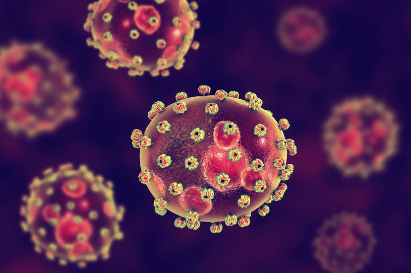 Trzy przypadki zakażenia wirusem Lassa potwierdzono w Wielkiej Brytanii. Co powinniśmy wiedzieć o tym wirusie? /123RF/PICSEL