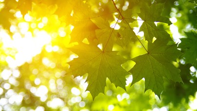 Trzydniowa majówka w Centrum Rzeźby Polskiej w Orońsku