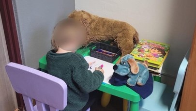 Trzylatka sama błąkała się po ulicy. Szybka akcja policji 