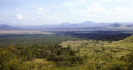 Tsavo, park narodowy /Encyklopedia Internautica