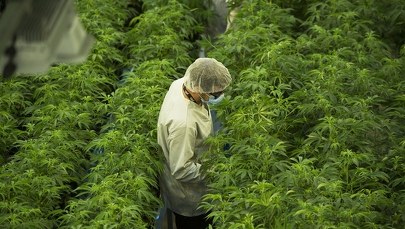 TSUE zostawia sądom ocenę, co znaczy "duża ilość narkotyków"