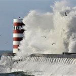 Tsunami na Bałtyku. Ślady znajdowały się kilometr od brzegu