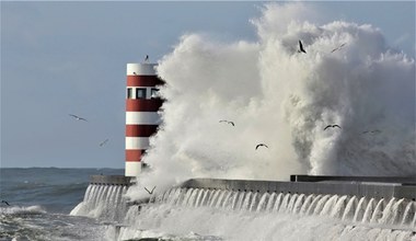 Tsunami na Bałtyku. Ślady znajdowały się kilometr od brzegu