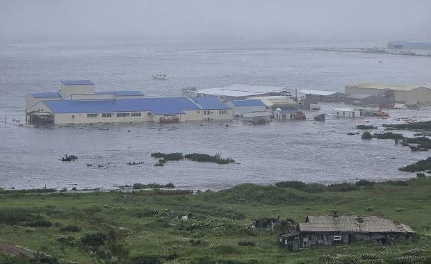 Tsunami po trzęsieniu ziemi na Pacyfiku. Zobacz nagrania