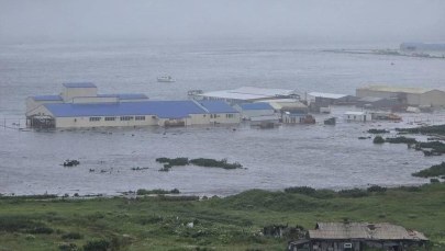Tsunami po trzęsieniu ziemi na Pacyfiku. Zobacz nagrania