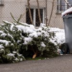Tu choinki nie wyrzucaj. Opłata wzrośnie aż 4 razy