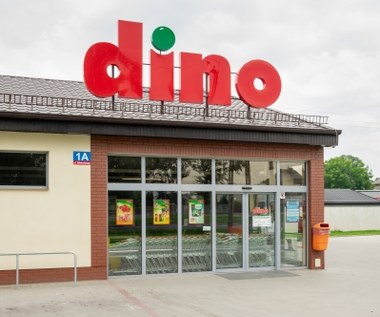 Tu Dino otworzy kolejne sklepy, do pracy szuka 1200 osób. Tyle im płaci