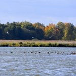 Tu leży największy park krajobrazowy w Polsce. Fani ornitologii będą zachwyceni