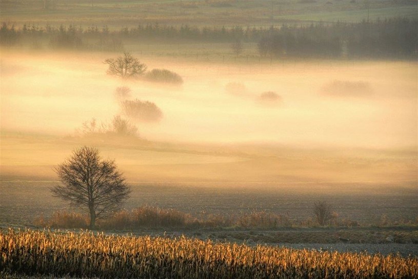 Tu odpoczniesz od zgiełku miasta i "naładujesz akumulatory", foto.Tomasz Okoniewski /materiały prasowe