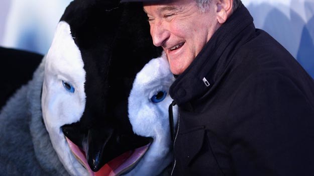 Tu się zgina... dziób pingwina! - fot. Ryan Pierse /Getty Images/Flash Press Media