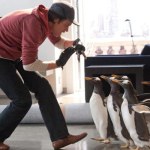 Tu się zgina dziób pingwina!