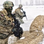 ​Tu weta nie było. Co zawiera ustawa o weteranach?