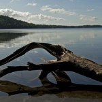 Tu znajduje się najgłębsze jezioro w Polsce. Ma ponad 100 m i rzadko zamarza