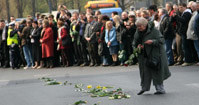 Tulipany na trasie wtorkowego konduktu, fot.Katarzyna Mala &nbsp; /East News