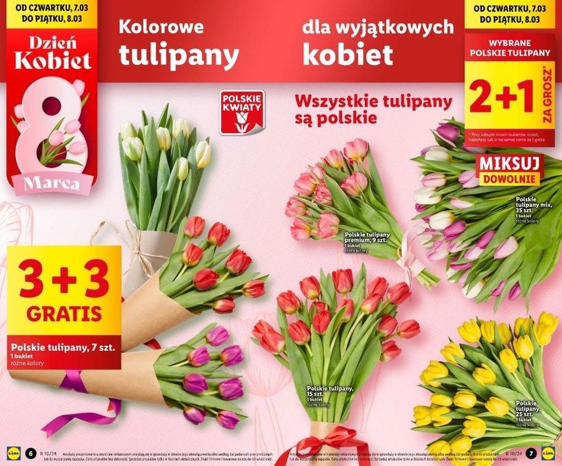Tulipany w gratisie w sklepach sieci Lidl! /Lidl /INTERIA.PL