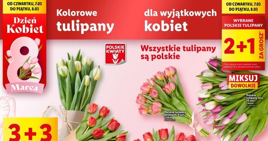 Tulipany w gratisie w sklepach sieci Lidl! /Lidl /INTERIA.PL