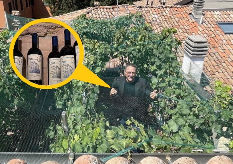 Tullio Masoni ze swojej mikro winnicy na dachu wytwarza tylko 25 butelek wina rocznie /materiały prasowe