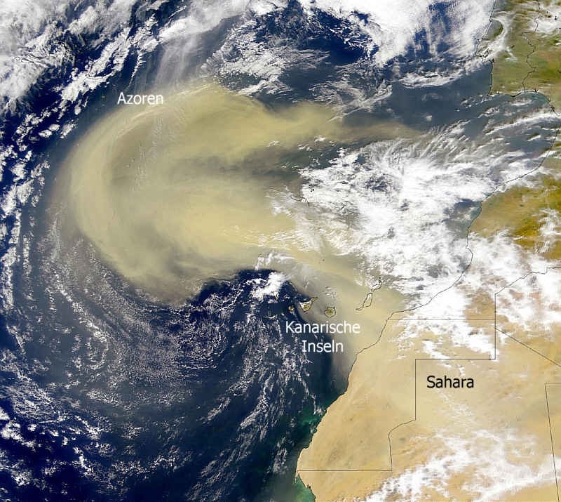 Tumany pyłu znad Sahary są świetnie widoczne z kosmosu. Na zdjęciu chmura uwieczniona na zdjęciu opublikowanym przez NASA na początku XXI wieku (dla jasności, kalima nie jest nowym zjawiskiem związanym z globalnym ociepleniem). /NASA /Wikimedia