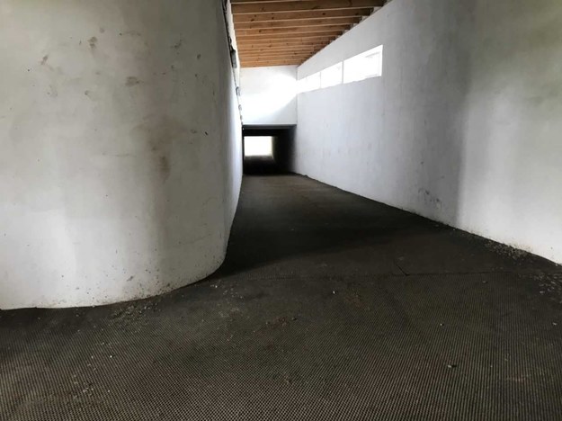 Tunel podziemny, którym konie wyścigowe przechodzą ze stajni na tor wyścigowy, żeby wziąć udział w gonitwie. /Fot. Michał Dobrołowicz /RMF FM