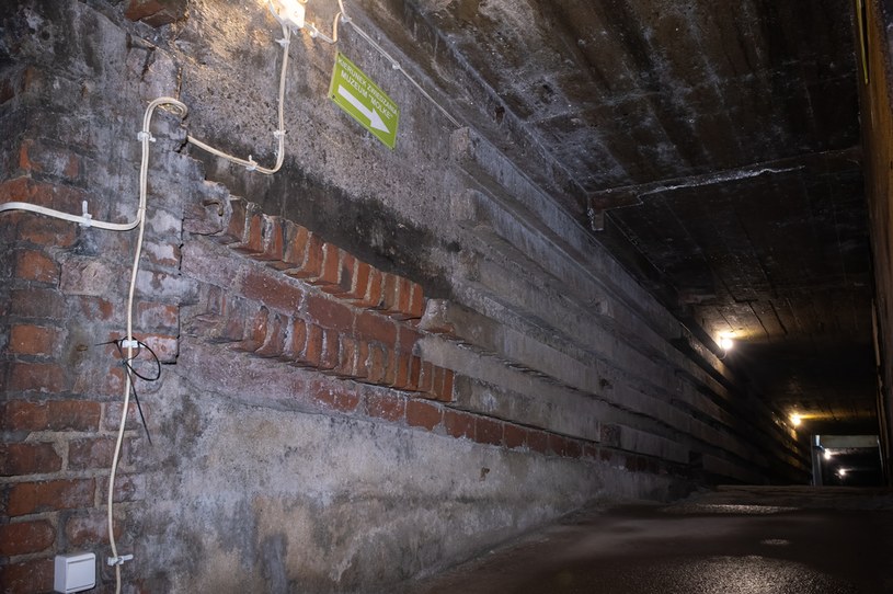 Tunele w kompleksie Riese tworzą sieć przypominającą podziemne miasto /123RF/PICSEL