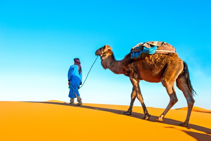 Tunezja to doskonałe miejsce na wakacyjny urlop /123RF/PICSEL