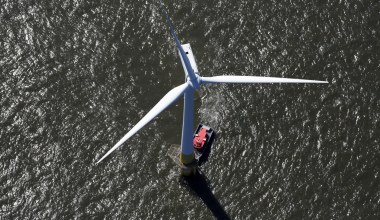 Turbiny wiatrowe przyniosły zaskakujący efekt. Okazały się skarbem dla ryb