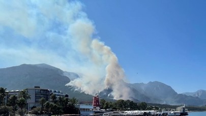 Turcja kolejnym krajem, który zmaga się z pożarami